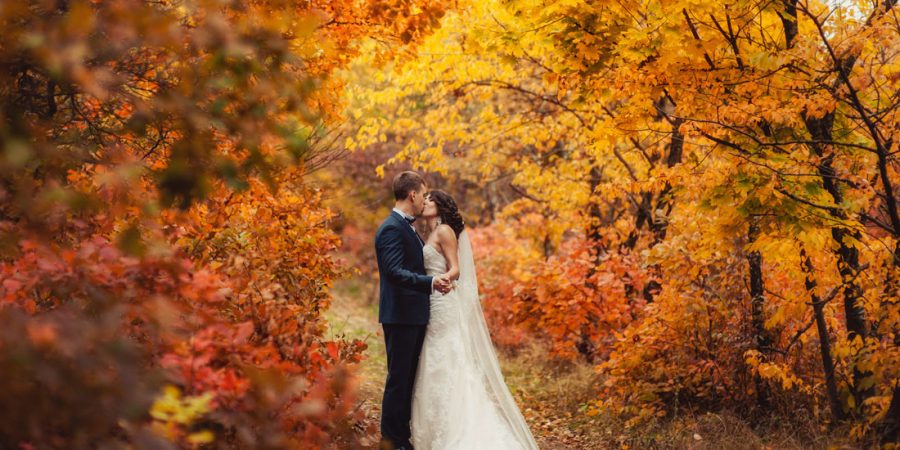 Bride Groom Autumn Scene