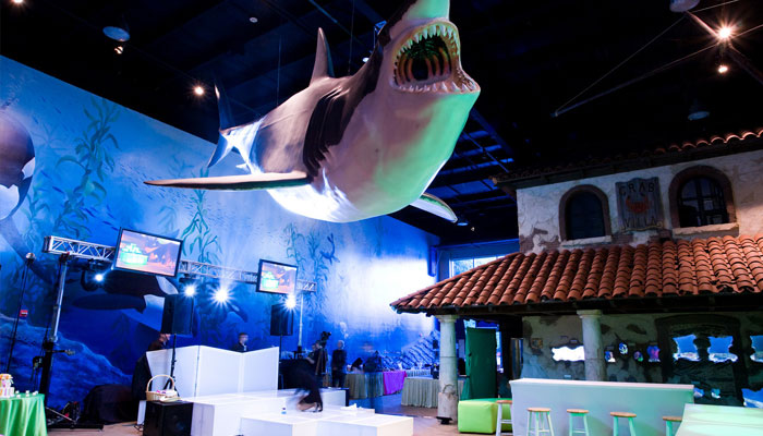 Shark Room Photo