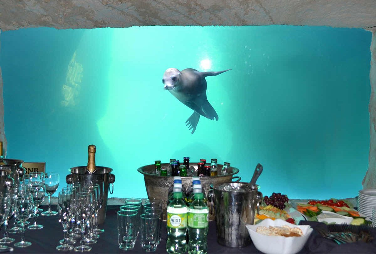Social Event Photo