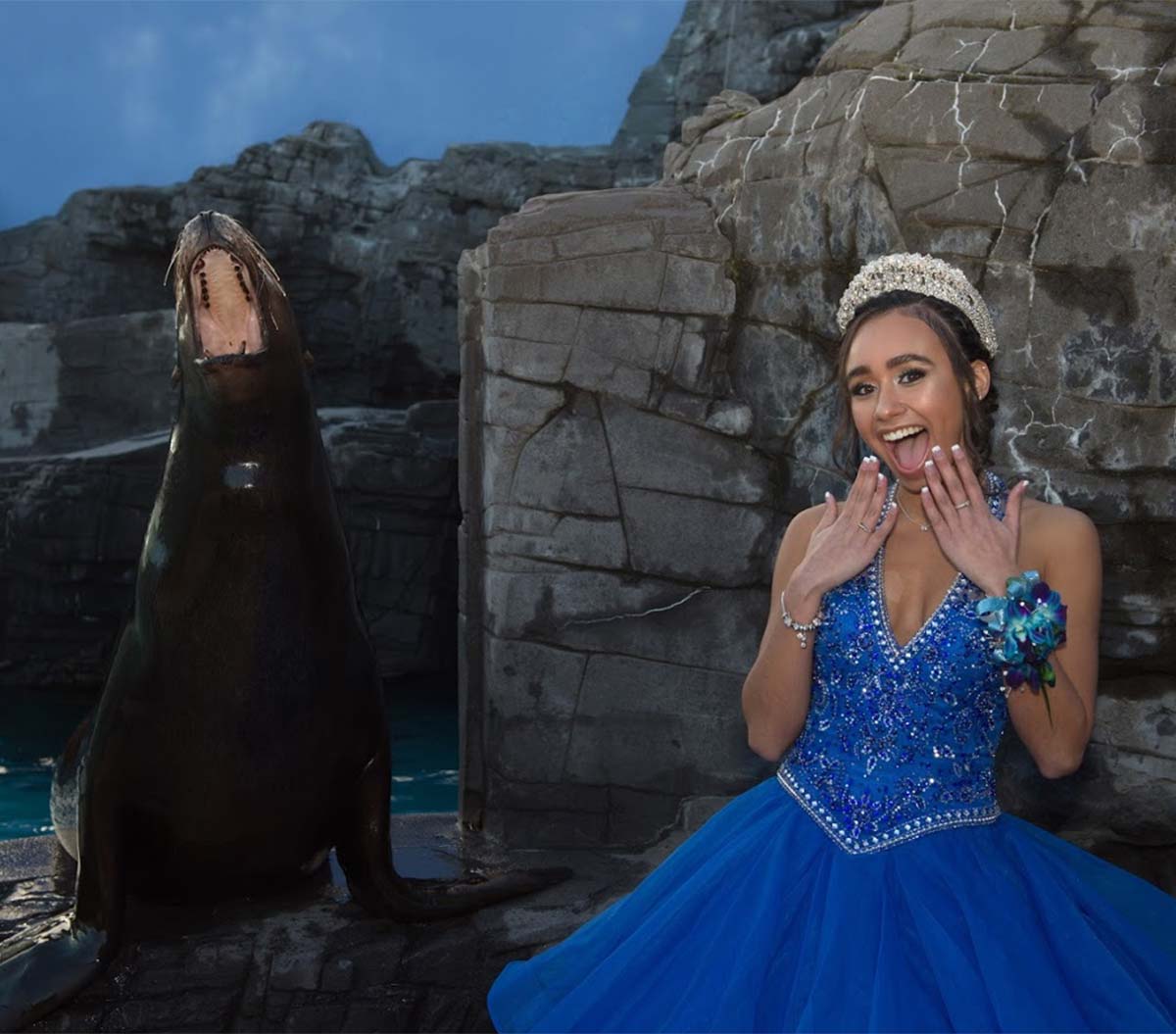 Sweet 16, Bar & Bat Mitzvahs, Quinceañera   