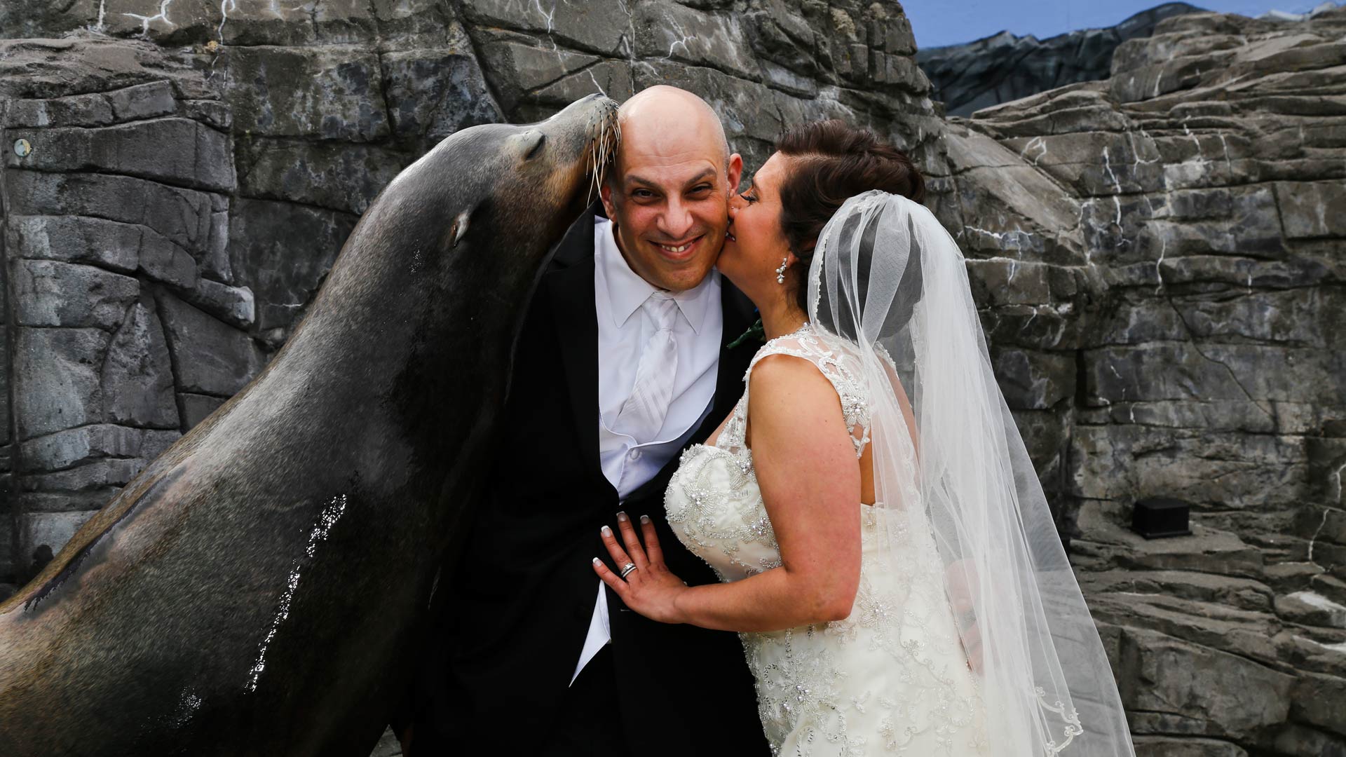 Couple getting a kiss from a Sea Lion