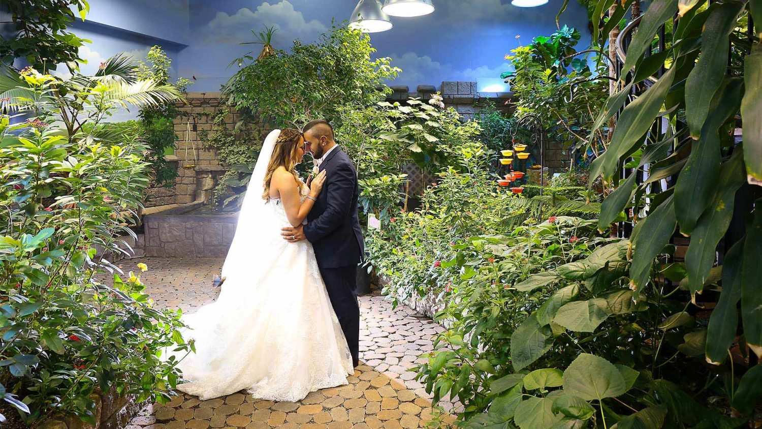 The Butterfly Garden