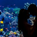Couple by Coral Reef