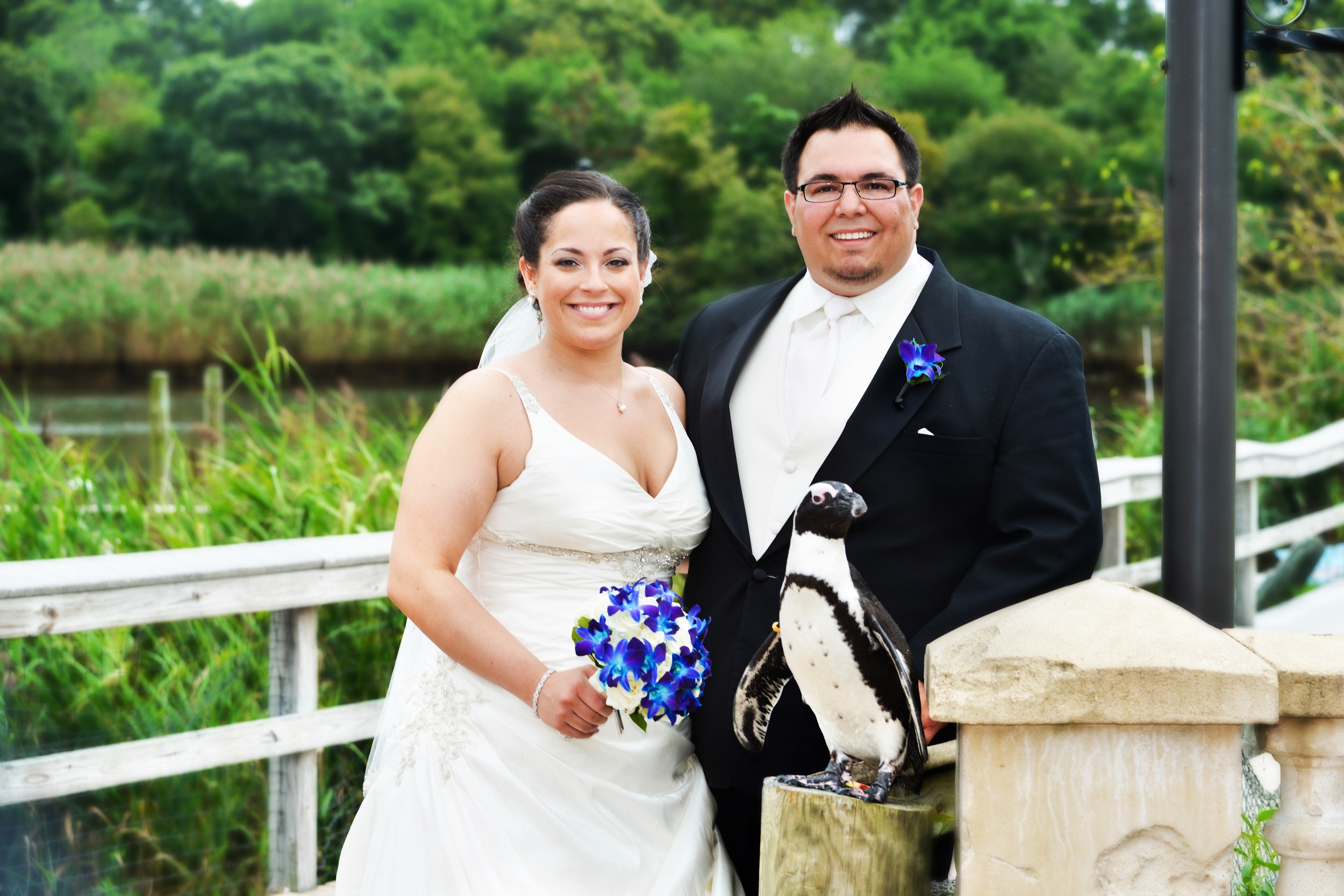 Couple with Penguin