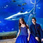 Sweet 16 and Bar/Bat Mitzvah Events at AB&E