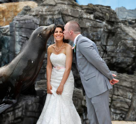 Wedding Couple with Sea Lion