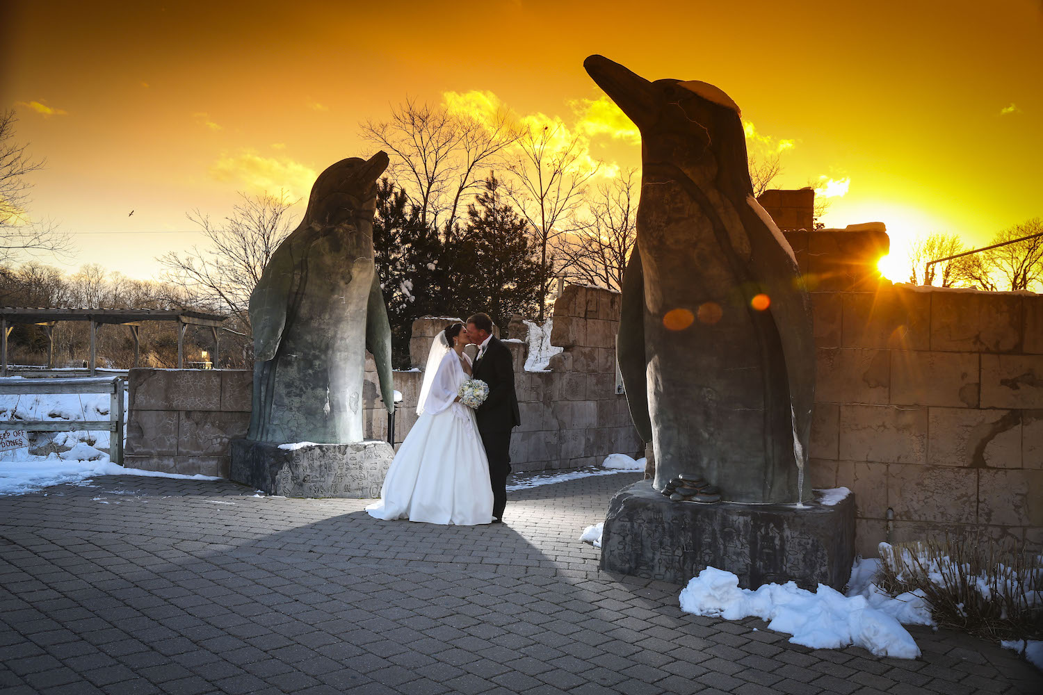 Bride and Groom Sunset at Penguins