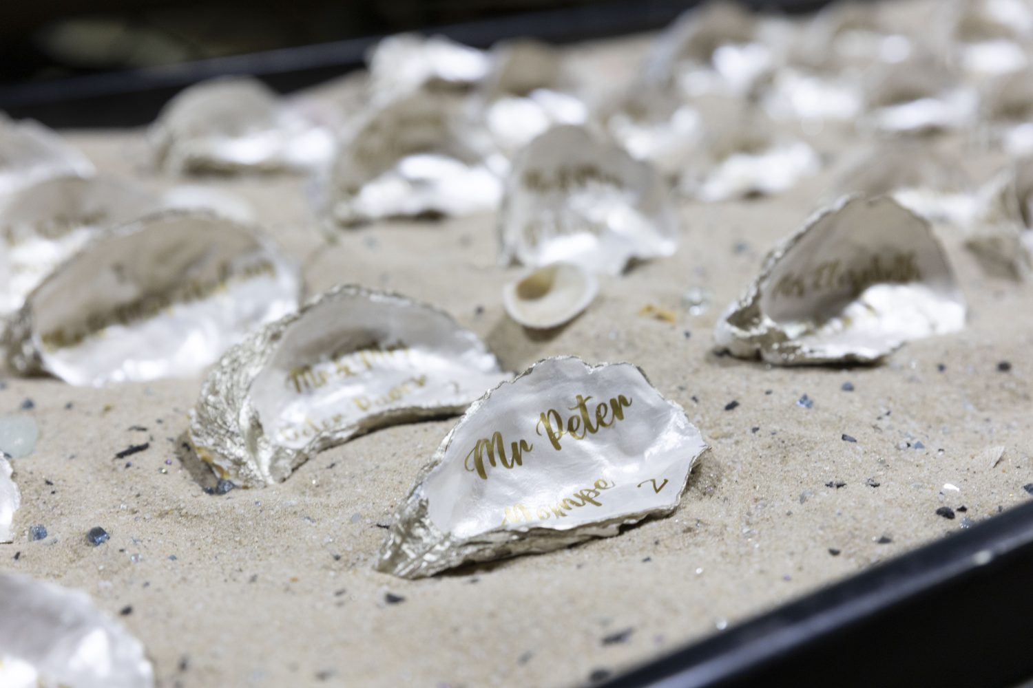 Shell Place Cards
