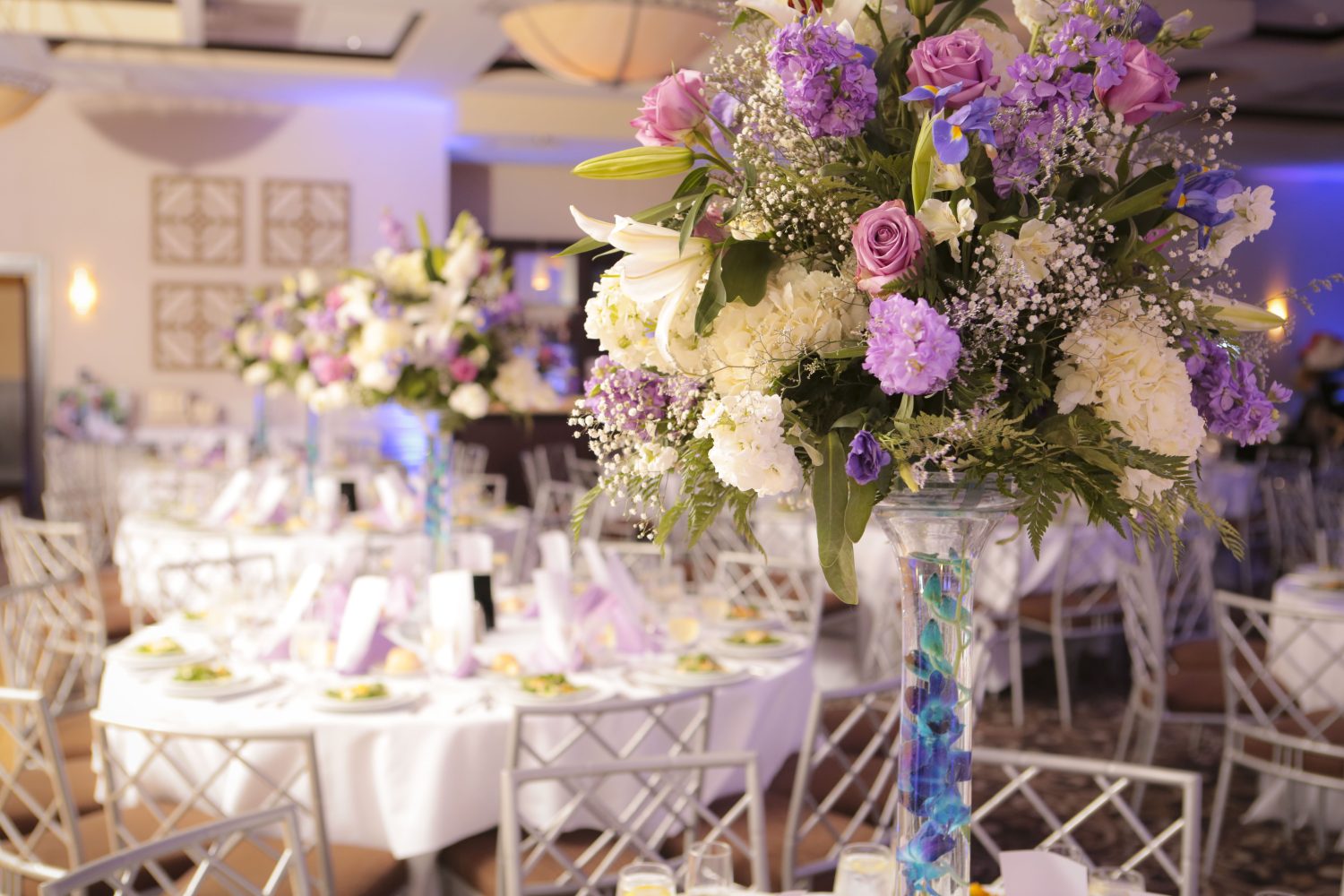 Beautiful Flowers in SSB