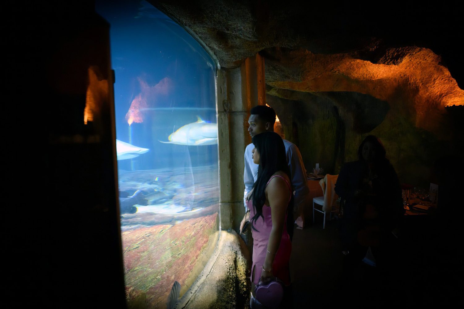 Couple in front of Shark habitat
