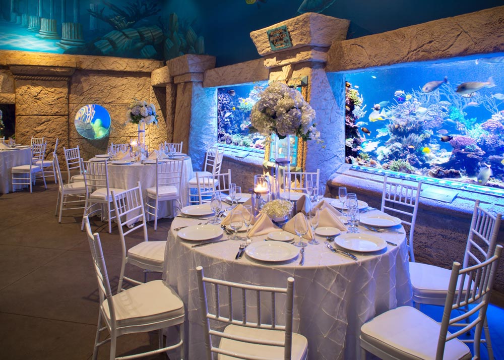 Wedding reception tables beside the aquarium exhibits at Long Island Aquarium
