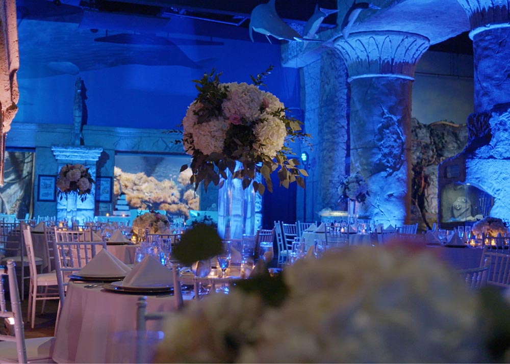 Wedding reception in the Coliseum Room surrounded by aquarium exhibits